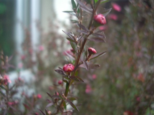 f0137275_7552497.jpg
