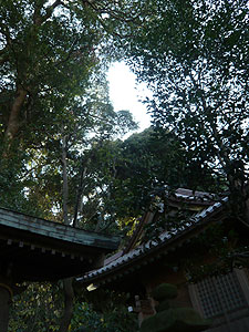 e0066586_23231062.jpg