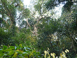 e0066586_2323152.jpg