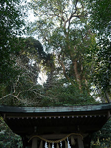 e0066586_23231980.jpg