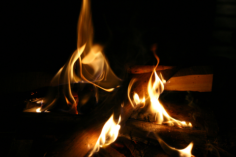 a0001188_1748335.jpg