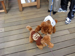 c0130389_2247652.jpg