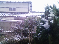 b0114392_1101512.jpg