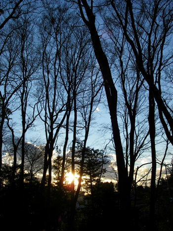 d0045295_18104624.jpg