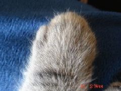c0133096_1848301.jpg