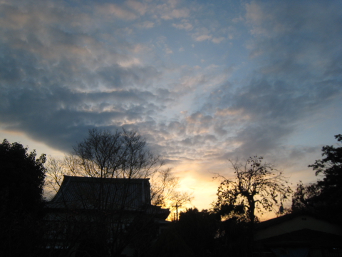 c0129498_0365390.jpg