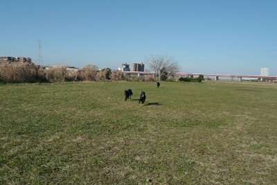 c0050400_1333774.jpg
