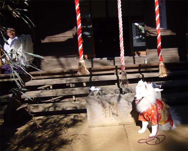e0018604_15225650.jpg