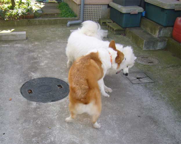 e0018604_1563494.jpg