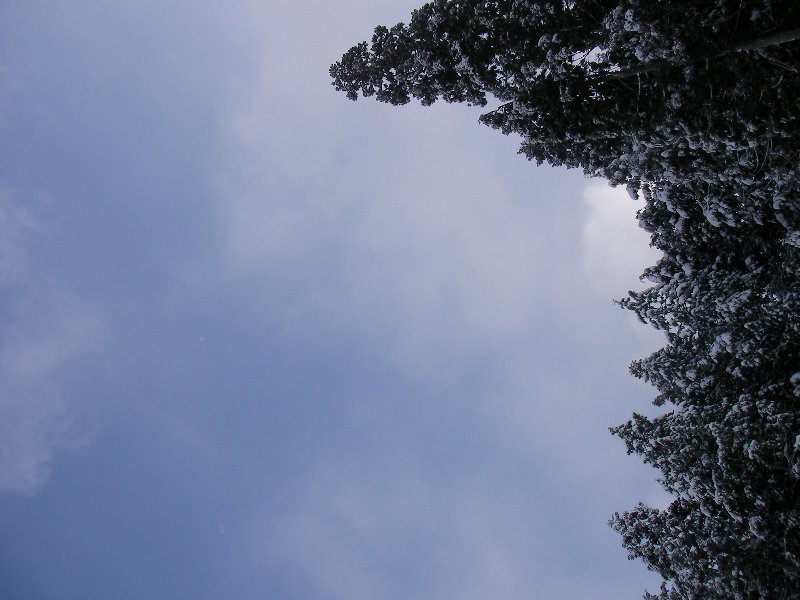 f0054610_0165962.jpg