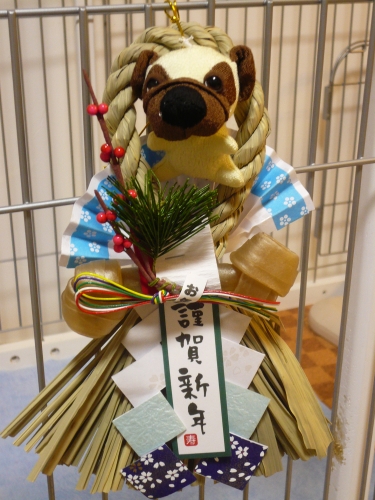 f0128821_0174230.jpg