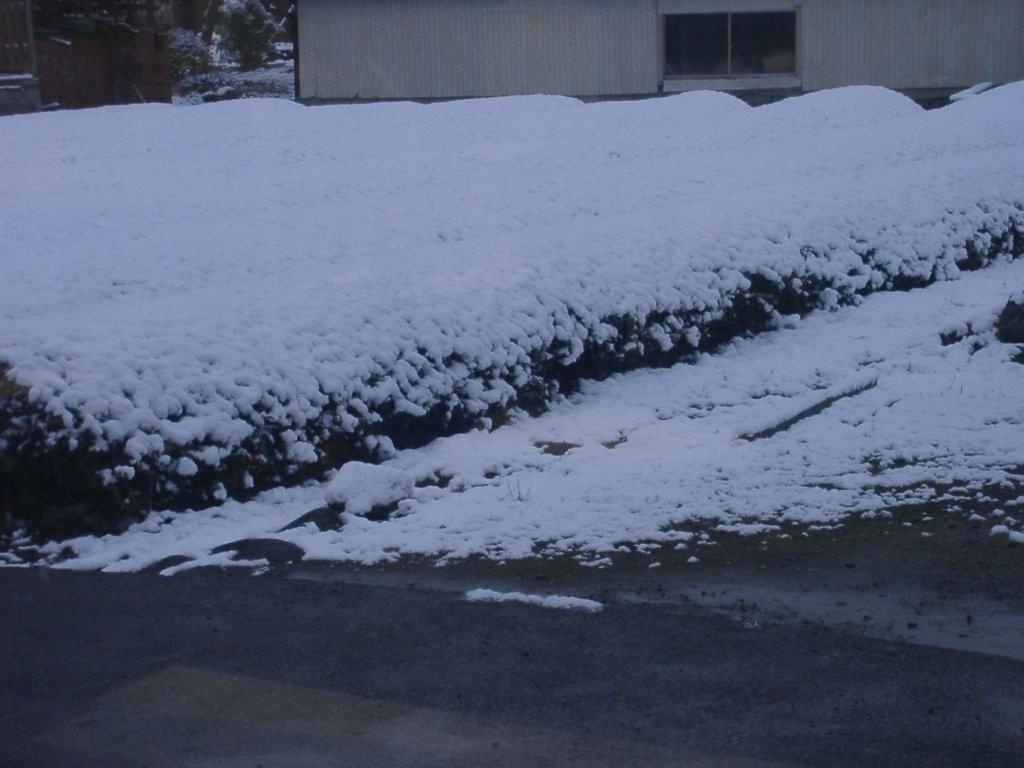 e0069622_10173289.jpg