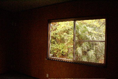 c0047024_3232723.jpg