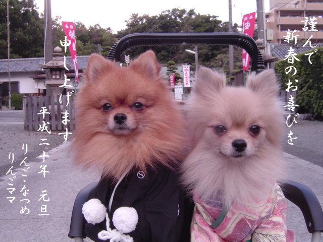 f0012924_0365893.jpg