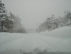 f0065126_1524273.jpg