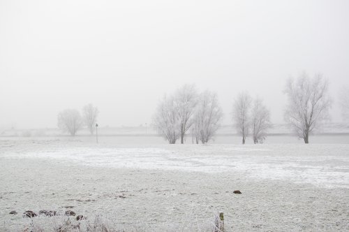 d0112128_20195530.jpg