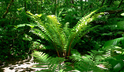 a0046429_0381511.jpg
