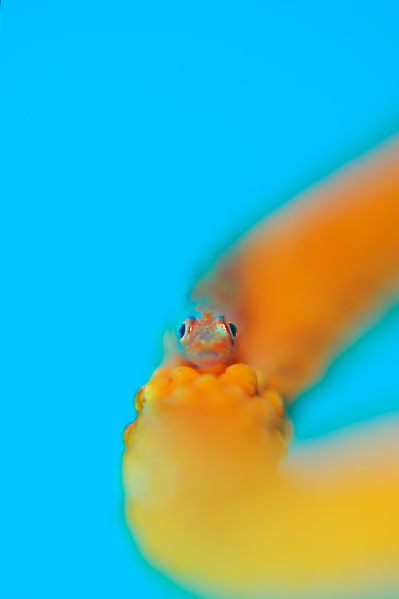 e0091530_20472885.jpg