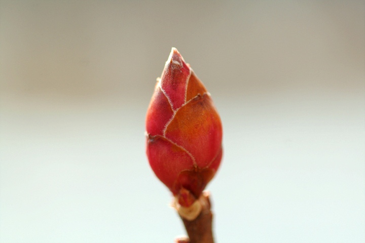 d0012134_013890.jpg