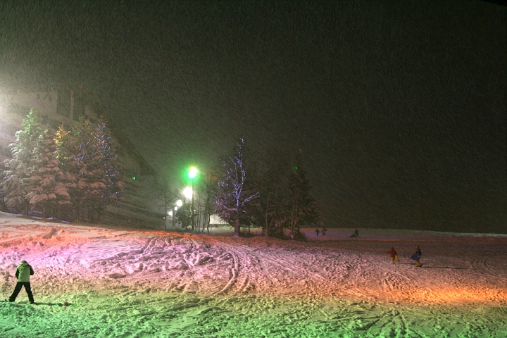 d0012134_03846.jpg