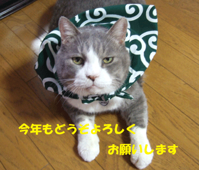 f0008935_23502918.gif