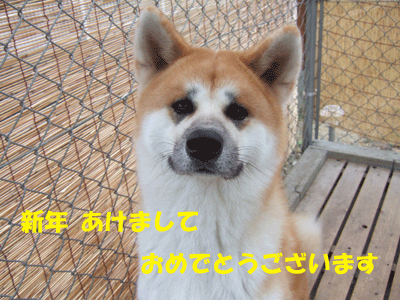 f0008935_2350623.gif