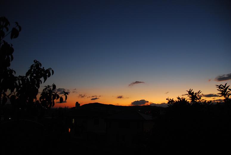 b0075541_22293257.jpg