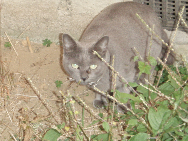 c0094645_9284691.jpg