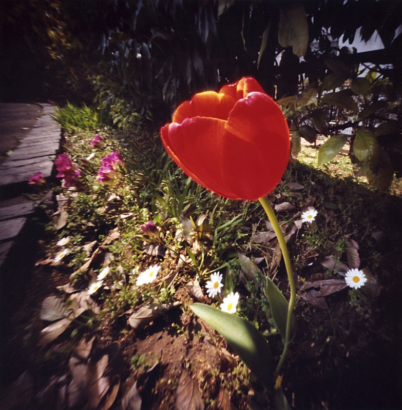 f0117059_2232569.jpg