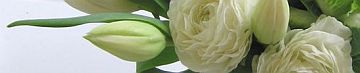 c0001370_19124184.jpg