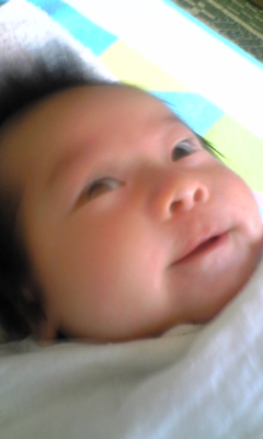 d0081370_1214233.jpg