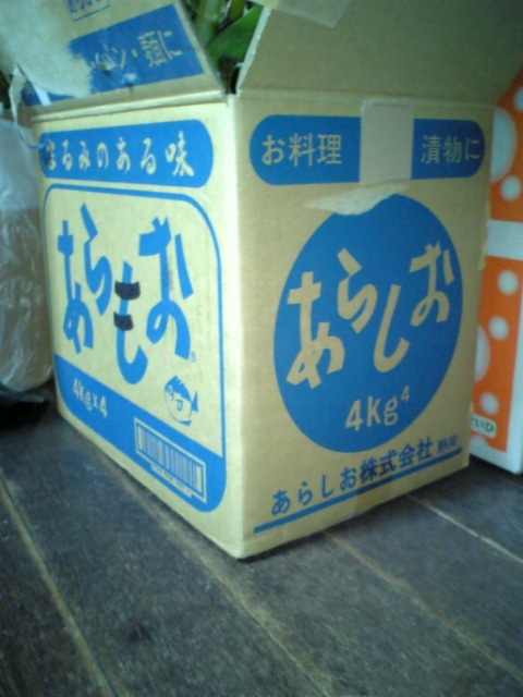 c0124776_8272188.jpg