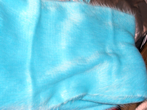 a0068306_20182746.jpg