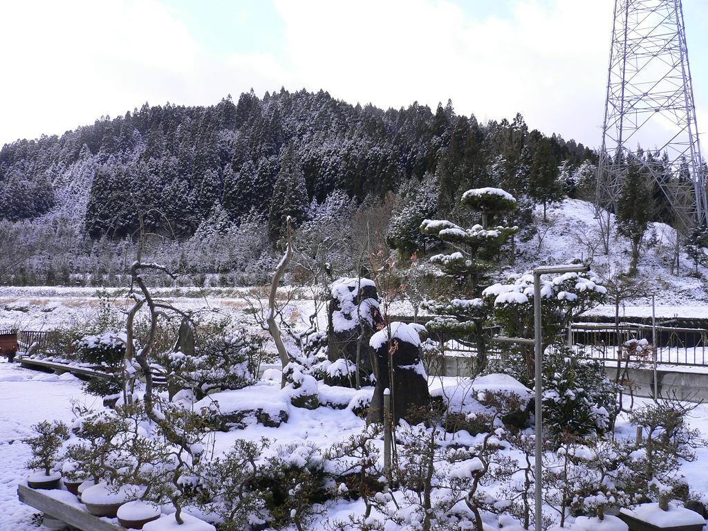 e0046206_1753454.jpg
