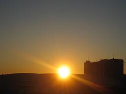 d0050616_574879.jpg