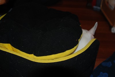 e0121418_259910.jpg