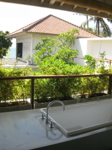 d0038319_1565191.jpg
