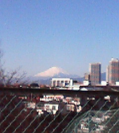 a0105023_2054457.jpg