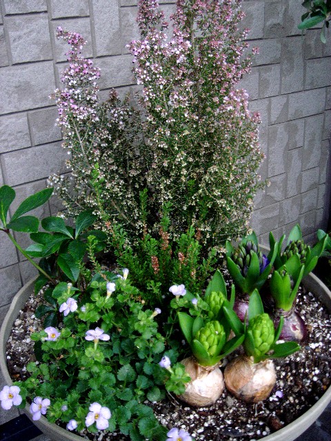 c0003723_13401031.jpg