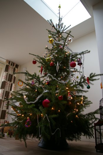 d0112128_3465196.jpg