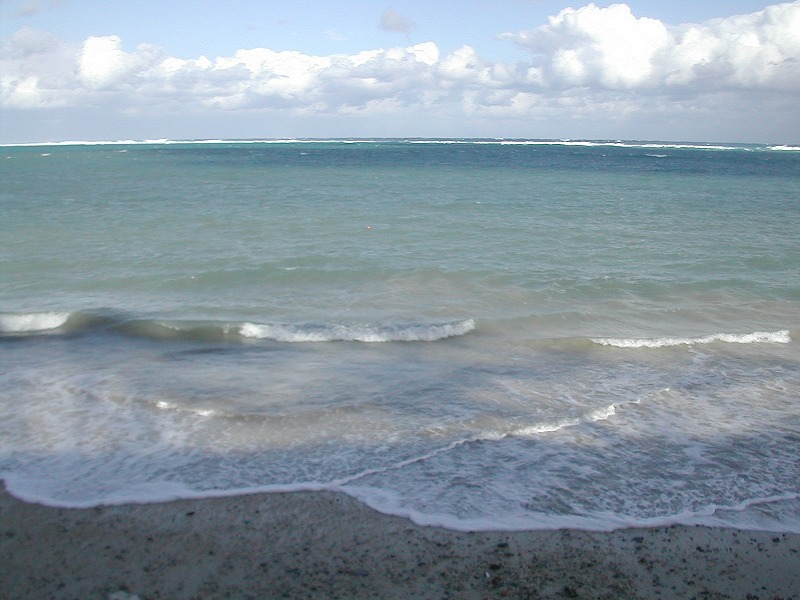 e0062635_11241459.jpg