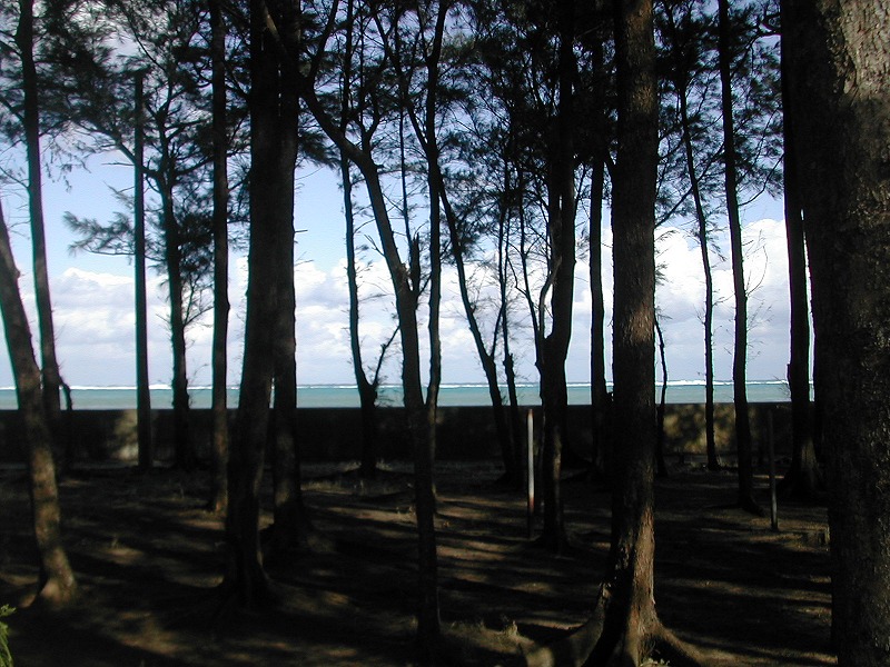 e0062635_11243136.jpg