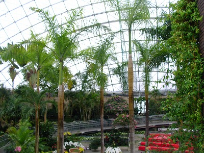 f0148244_1933058.jpg