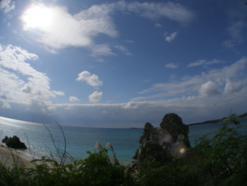 d0065247_21401286.jpg