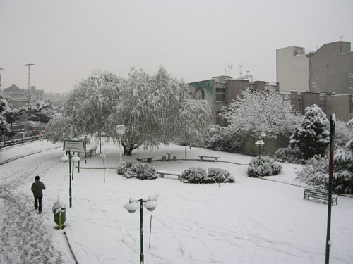 b0006449_19304744.jpg