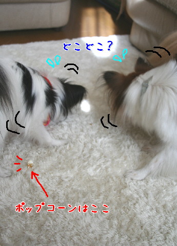 d0013149_0105513.jpg