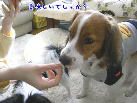 d0013149_01668.jpg
