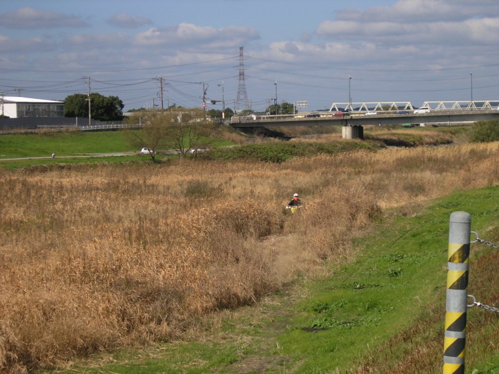 f0154649_1655880.jpg