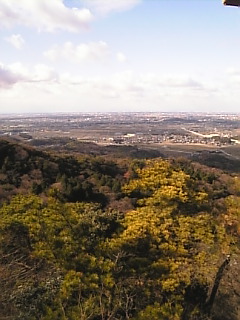 c0069552_23434835.jpg