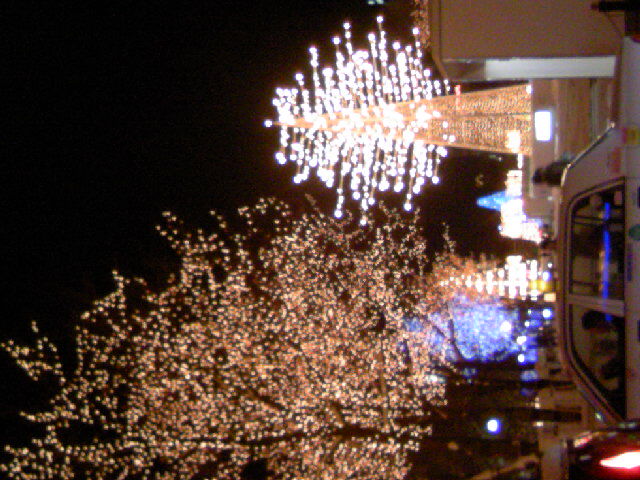 f0054556_20182689.jpg